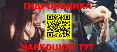 МДПВ Донецк