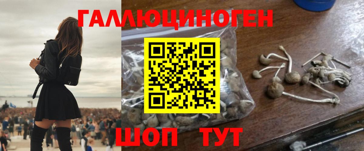 Галлюциногенные грибы ЛСД  Псилоцибиновые грибы прущие грибы  Курчатов  Вход с VPN 
