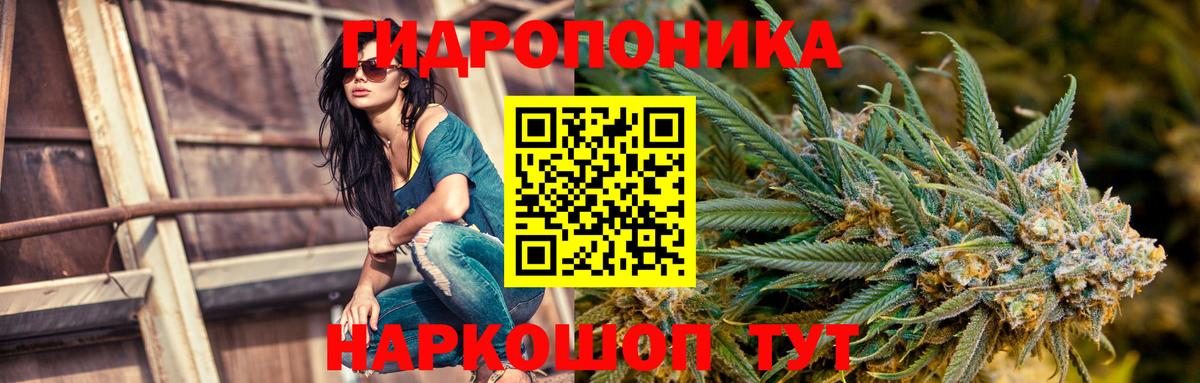 Курчатов  Конопля Ganja  Вход с VPN  Канабис план  Конопля SATIVA & INDICA 